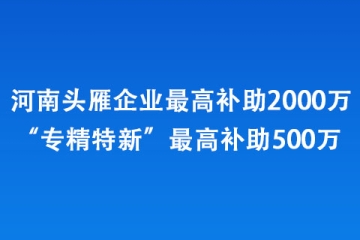 河南頭雁企業(yè)最高補助2000萬、“專精特新”最高補助500萬 