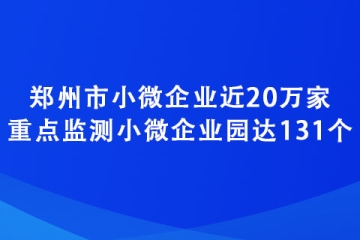 鄭州市小微企業(yè)近20萬家 重點(diǎn)監(jiān)測小微企業(yè)園達(dá)131個