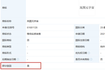 東風(fēng)汽車集團有限公司申請“嵐圖元宇宙”商標(biāo)被駁回