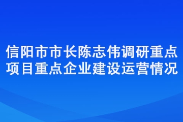信陽(yáng)市市長(zhǎng)陳志偉調(diào)研重點(diǎn)項(xiàng)目重點(diǎn)企業(yè)建設(shè)運(yùn)營(yíng)情況