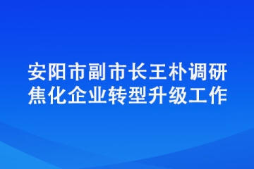 安陽市副市長王樸調(diào)研焦化企業(yè)轉(zhuǎn)型升級工作