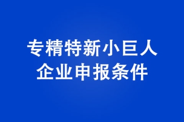 2022年專精特新小巨人企業(yè)申報條件