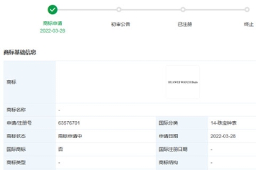 華為技術(shù)有限公司申請(qǐng)注冊(cè)“HUAWEI WATCH Buds”商標(biāo)