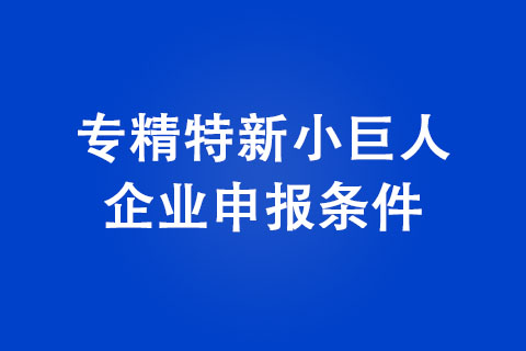 2022年專精特新小巨人企業(yè)申報(bào)條件