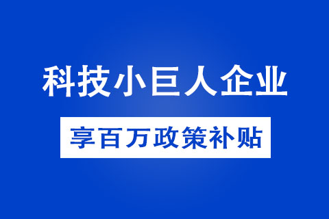 鄭州市科技小巨人企業(yè)認定方式