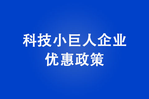 鄭州市科技小巨人企業(yè)優(yōu)惠政策