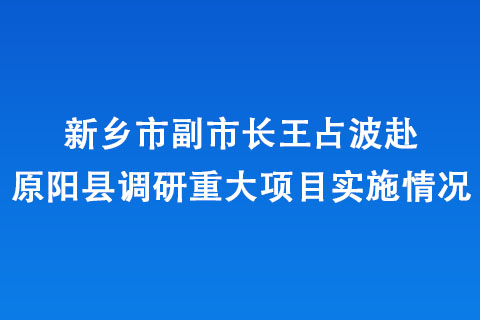 新鄉(xiāng)市副市長王占波赴原陽縣調(diào)研重大項(xiàng)目實(shí)施情況