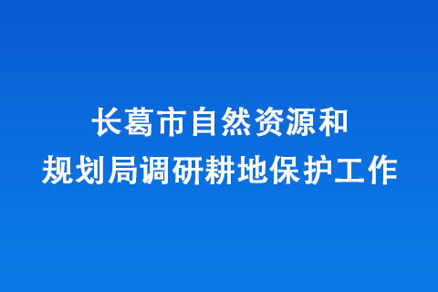長(zhǎng)葛市自然資源和規(guī)劃局調(diào)研耕地保護(hù)工作