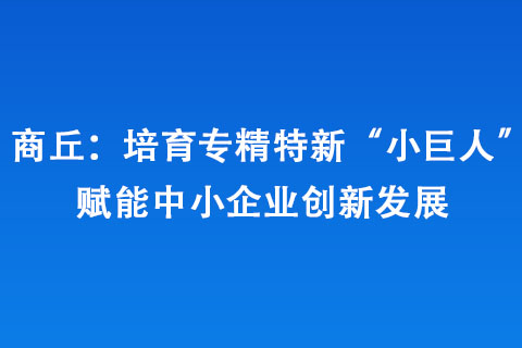 商丘：培育專精特新“小巨人” 賦能中小企業(yè)創(chuàng)新發(fā)展