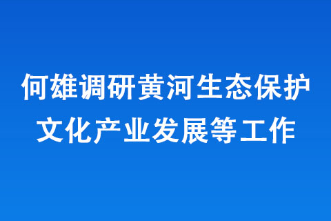 何雄調(diào)研黃河生態(tài)保護(hù)文化產(chǎn)業(yè)發(fā)展等工作