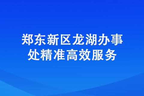 鄭東新區(qū)龍湖辦事處精準高效服務(wù)