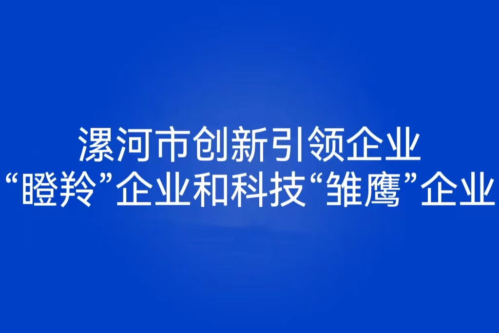 科技“雛鷹”企業(yè)