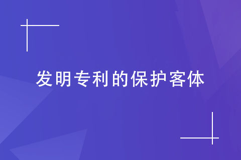 鄭州發(fā)明專利保護(hù)客體