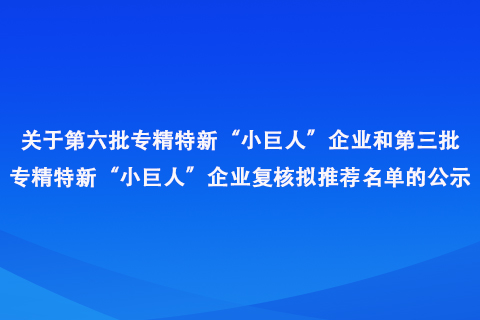 河南省專精特新“小巨人”企業(yè)